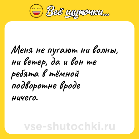 Шутка: Меня не пугают ни волны, ни ветер, да и вон те ребята в тёмной подворотне вроде ничего.
