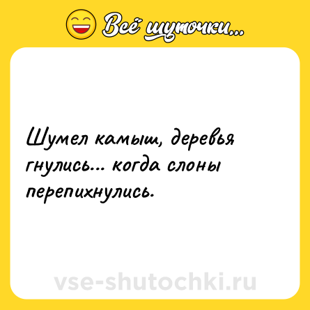 Шутка: Шумел камыш, деревья гнулись... когда слоны перепихнулись.