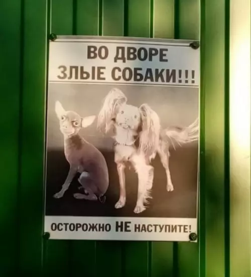 Смешная картинка №688114