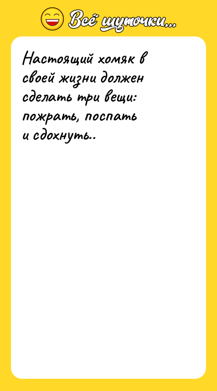 Настоящий хомяк в своей жизни должен сделать три вещи: пожрать,