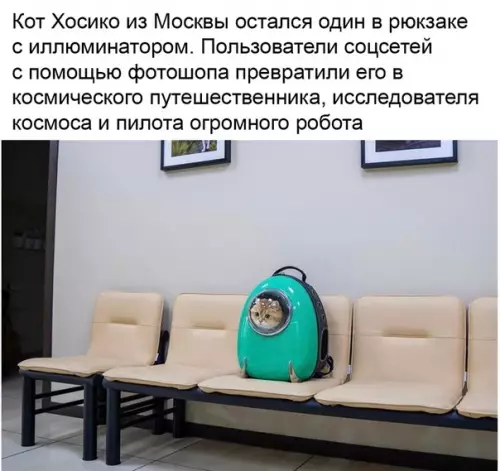 Смешная картинка №535563 Минутка добрых новостей