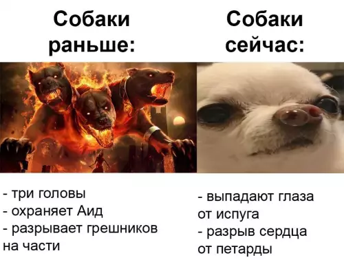 Смешная картинка №662793