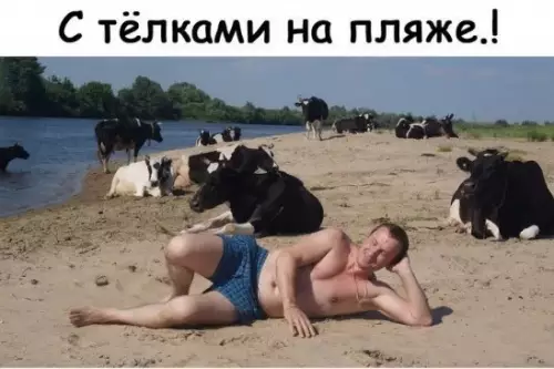 Смешная картинка №276731 лето