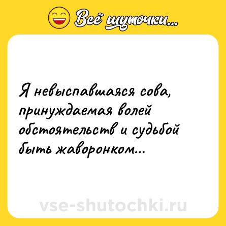 Шутка: Я невыспавшаяся сова, принуждаемая волей обстоятельств и судьбой быть жаворонком…
