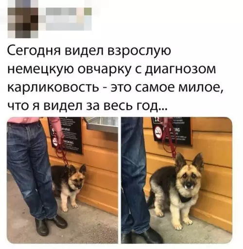 Смешная картинка №347957 Какой красавец