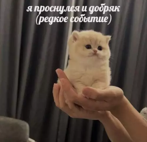 Смешная картинка №717816