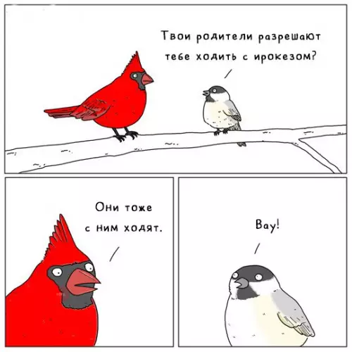 Смешная картинка №258892 Птицы
