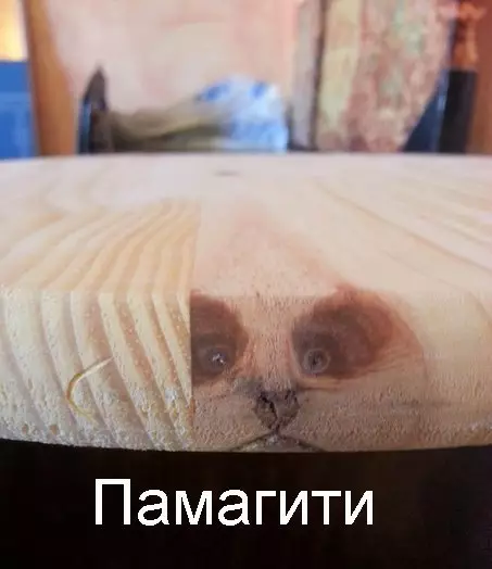 Смешная картинка №254702 памагити