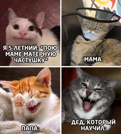 Смешная картинка №551976