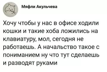 Смешная картинка №809737 кошки