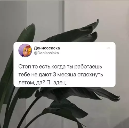 Смешная картинка №573394 Фигoвo