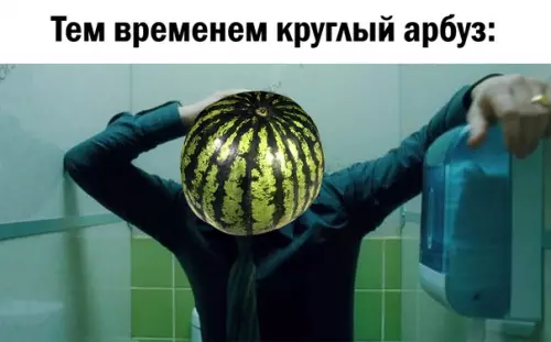 продолжение Смешная картинка №578133 Я лучше круглый поеv