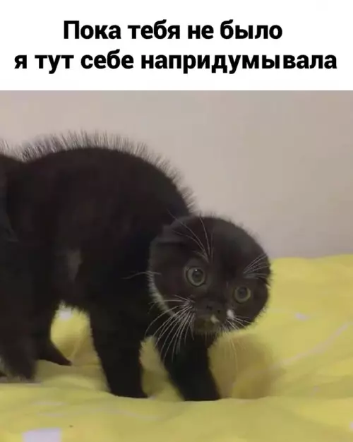 Смешная картинка №656836