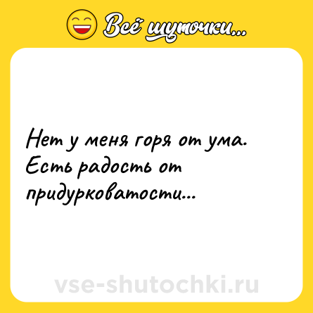 Шутка: Нет у меня горя от ума. Есть радость от придурковатости...