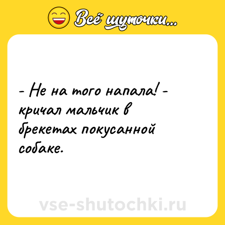 Шутка: - Не на того напала! - кричал мальчик в брекетах покусанной собаке.