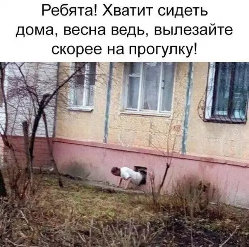 Смешная картинка №345341