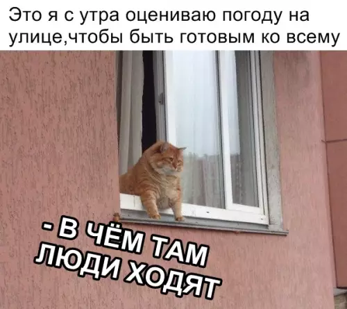Смешная картинка №318690