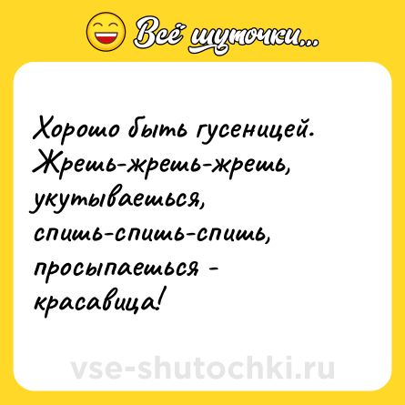 Шутка: Хорошо быть гусеницей. Жрешь-жрешь-жрешь, укутываешься, спишь-спишь-спишь, просыпаешься - красавица!