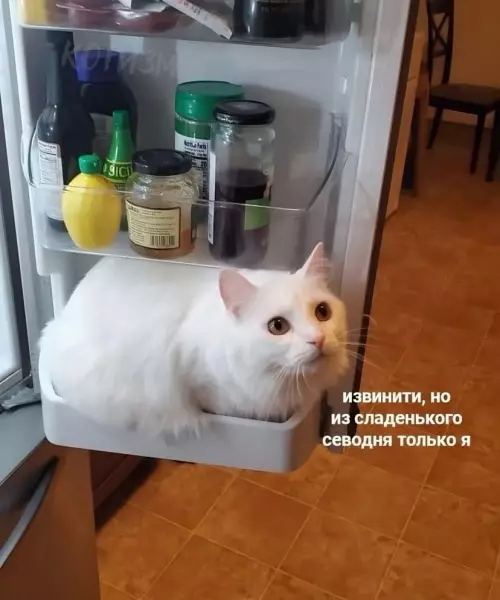 Смешная картинка №776955