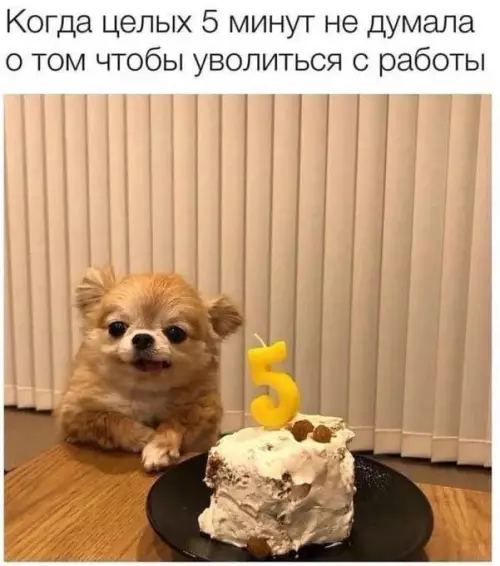 Смешная картинка №713016