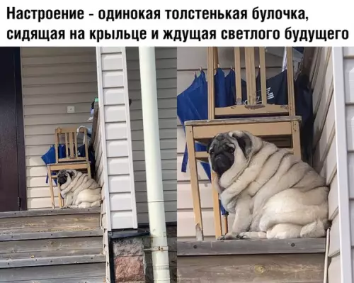 Смешная картинка №376664