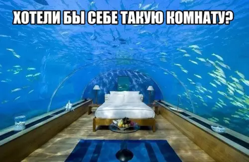 Смешная картинка №193872