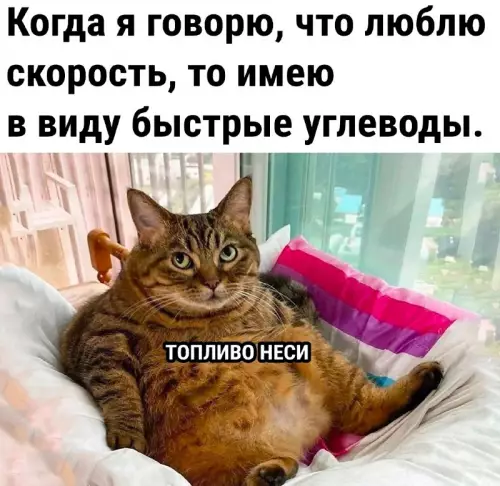 Когда твоя страсть — это не спорткары, а булочки 🥐 - Когда я говорю, что люблю скорость, то имею в виду