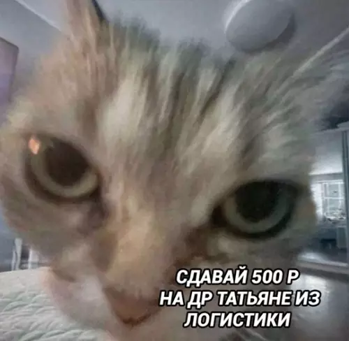 Смешная картинка №766866