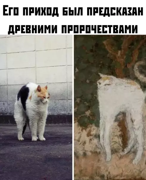 Смешная картинка №382688