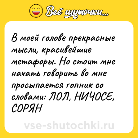 Шутка: В моей голове прекрасные мысли, красивейшие метафоры. Но стоит мне начать говорить во мне просыпается гопник со словами: ЛОЛ, НИЧОСЕ, СОРЯН