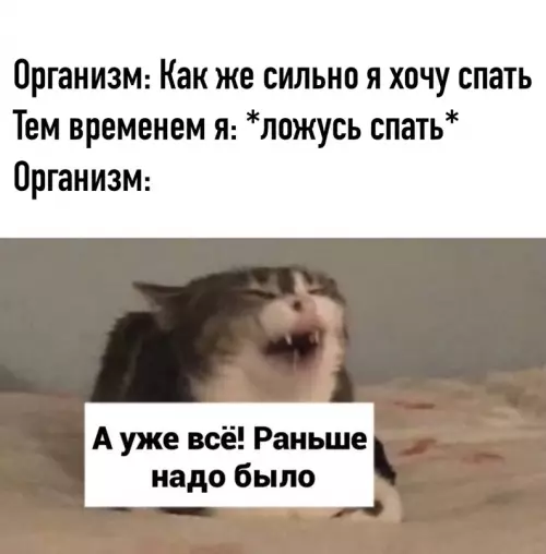 Смешная картинка №615313