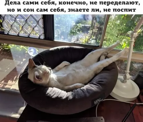 Смешная картинка №279408
