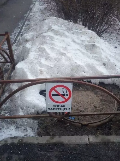 Когда правила работают слишком буквально 😂 - СОБАК ЗАПРЕЩЕН!