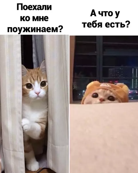 Смешная картинка №535150