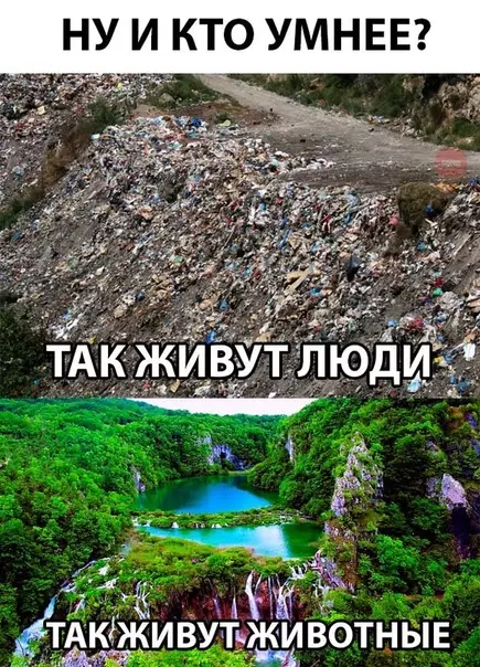 Смешная картинка №292655
