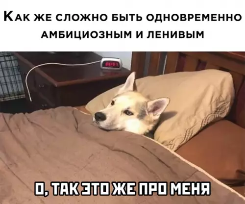Смешная картинка №547036