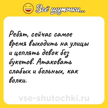 Шутка: Ребят, сейчас самое время выходить на улицы и цеплять девок без букетов. Атаковать слабых и больных, как волки.