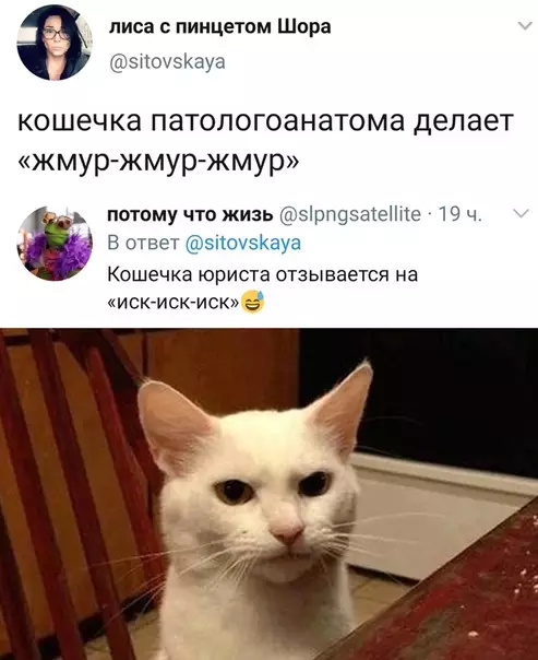 Смешная картинка №503374