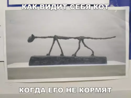 Смешная картинка №237077