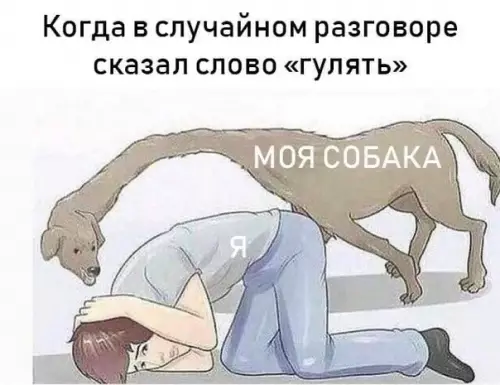 Смешная картинка №511953 Этo тoчно.
