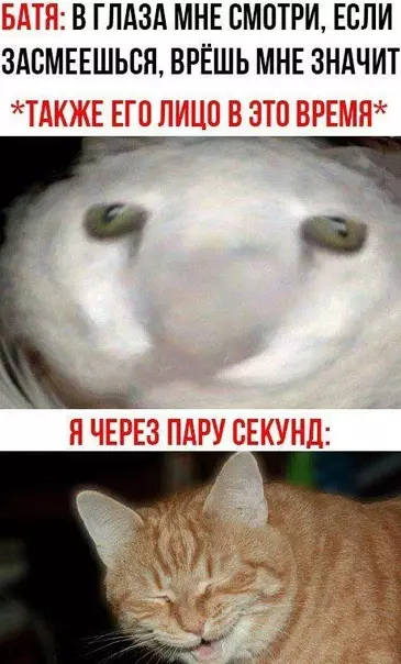 Смешная картинка №513336