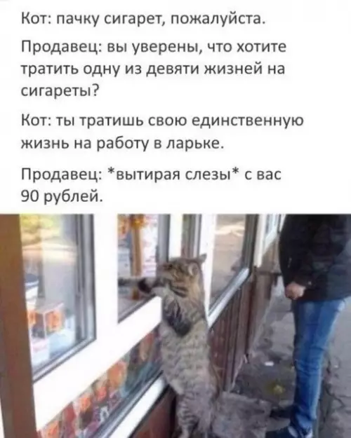 Смешная картинка №638074