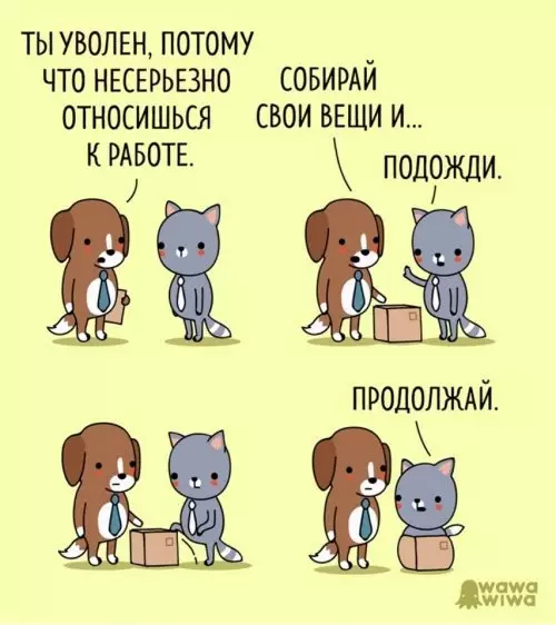 Смешная картинка №311882 кошки