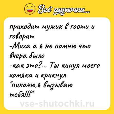 Шутка: приходит мужик в гости и говорит<br>-Миха а я не помню что вчера было<br>-как это?... Ты кинул моего хомяка и крикнул ''пикачю,я вызываю тебя!!!''