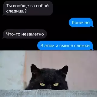 Смешная картинка №714315