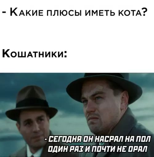 Смешная картинка №623854