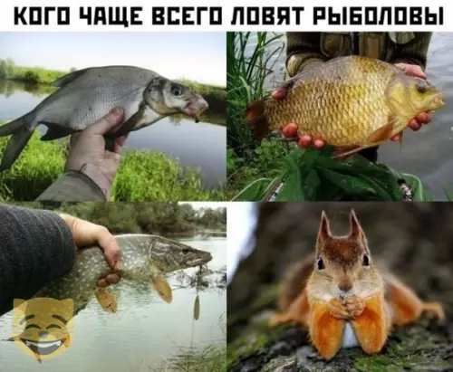 Смешная картинка №408253 #приколы #картинки #мемы ?