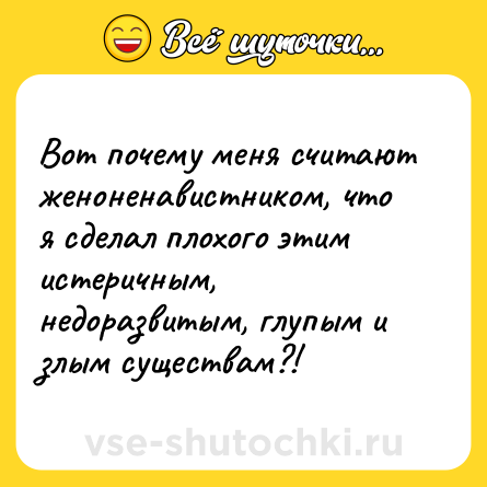 Шутка: Вот почему меня считают женоненавистником, что я сделал плохого этим истеричным, недоразвитым, глупым и злым существам?!