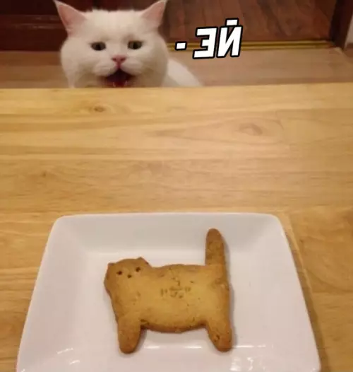 Смешная картинка №625114