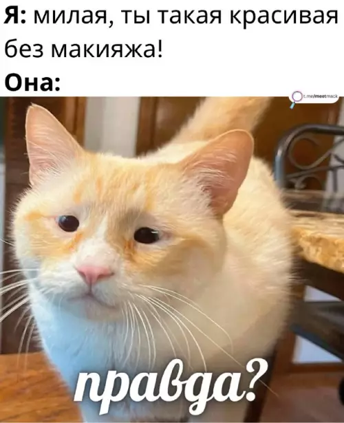 Смешной котик без макияжа